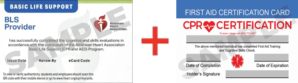 Sample American Heart Association AHA BLS CPR Card Certification and First Aid Certification Card from CPR Certification Lakeland