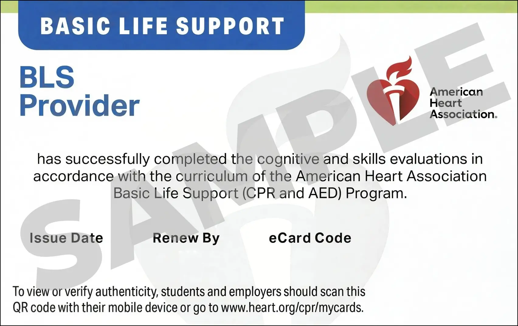 Sample American Heart Association AHA BLS CPR Card Certification from CPR Certification Lakeland
