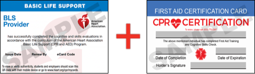 Sample American Heart Association AHA BLS CPR Card Certification and First Aid Certification Card from CPR Certification Lakeland