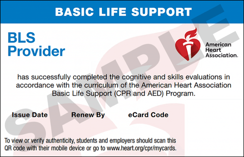 Sample American Heart Association AHA BLS CPR Card Certification from CPR Certification Lakeland